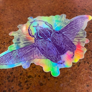 Goliath Beetle Holographic Sticker