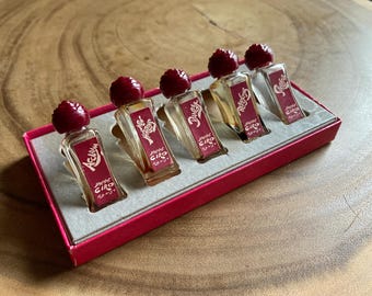 Op de afbeelding: Een set van vijf miniatuur parfumflesjes in een rode doos. Elk flesje heeft een bordeauxrode stopper en een etiket met de naam "Ciro" en een andere parfumnaam. De flesjes zijn helder en de doos is gevoerd met grijze stof.