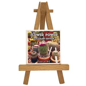 Mini Zine – Flower Power Issue #4 – Succulent Edition – 14-Page photo zine featuring a variety of succulents and cactus