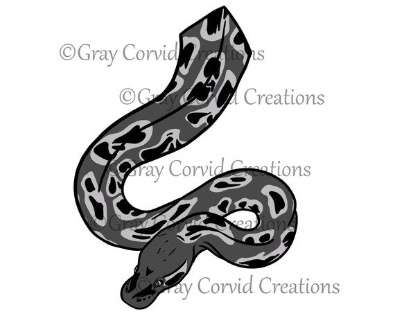 Ball Python Snake Digital Download Vector Graphic in SVG PNG | Etsy
