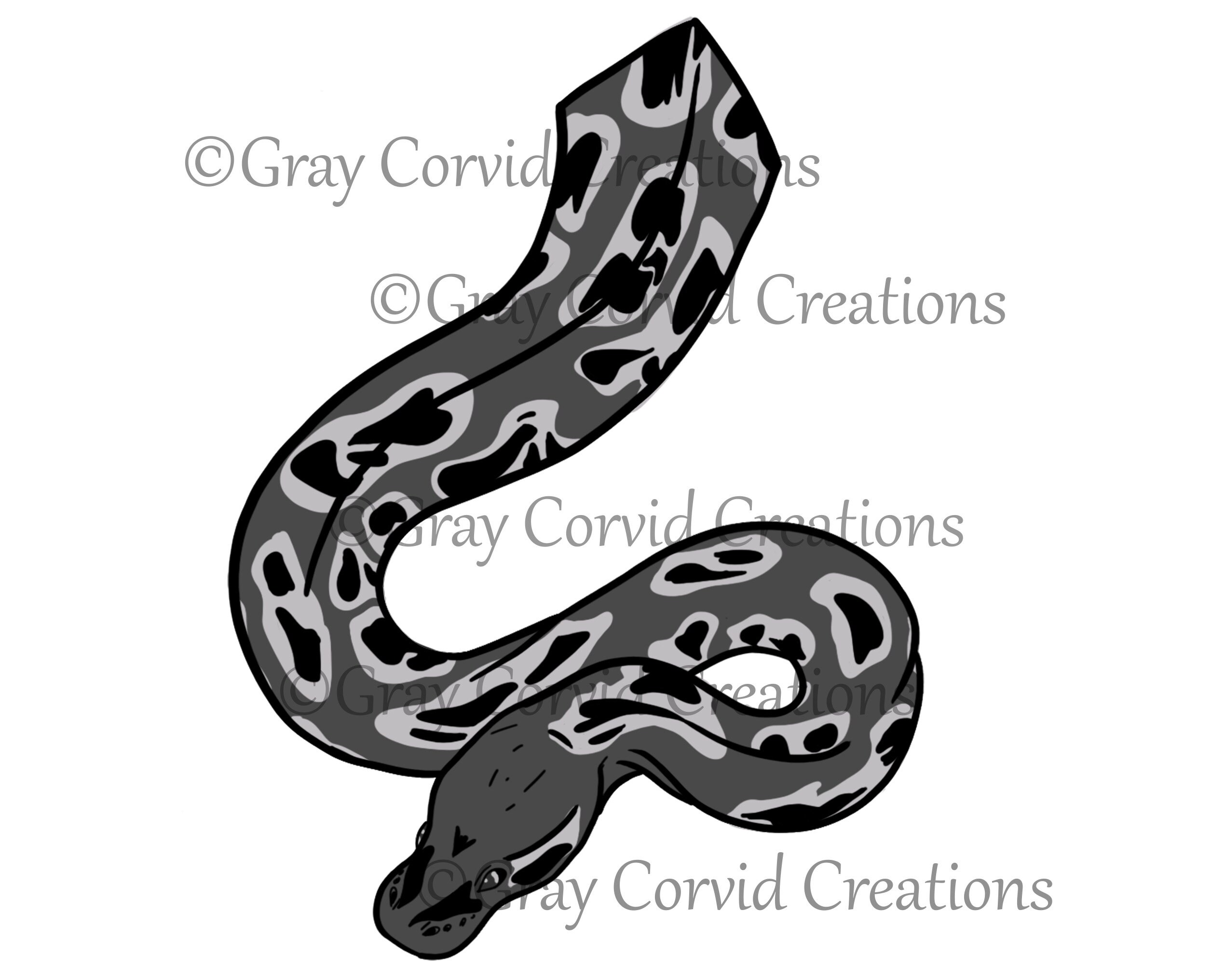 Ball Python Snake Digital Download Vector Graphic in SVG, PNG, JPEG ...