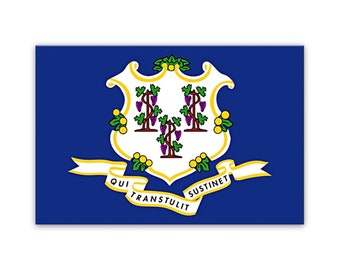 Connecticut Canvas Flag Art Print
