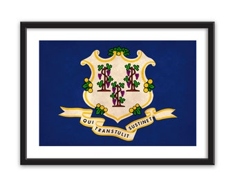 Distressed Connecticut Canvas Flag Art Print