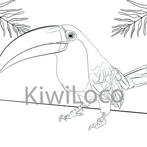 Rainforest Animals Digital Colouring Sheets | Etsy