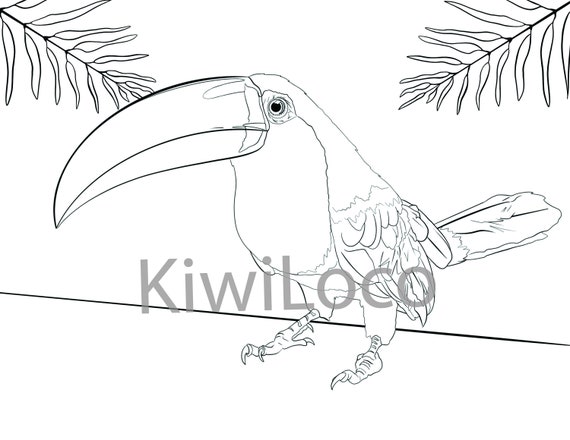 Rainforest Animals Digital Colouring Sheets - Etsy Rainforest Animals Digital Colouring Sheets - Etsy