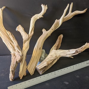 Ghostwood | 4 pc. | 24" long | Assorted Bulk