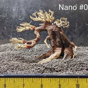 May include: A small, white, and brown bonsai tree with a twisted trunk and branches. The tree is planted in a bed of small, gray stones. The text "Nano #03" is visible in the upper right corner of the image.