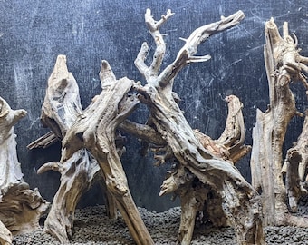 Pounds 3 Bulk Driftwood Medium Box of Driftwood 11\u201dx8\u201dx5\u201d