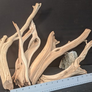 Ghostwood | 4 pc. | 18&quot; long | Assorted Bulk