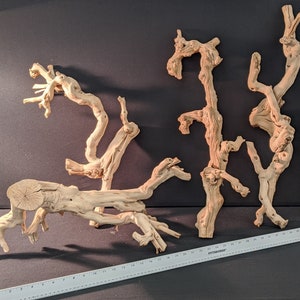 May include: A set of four natural wood branches, each with a unique shape and texture. The branches are light brown in color and have a rough, weathered surface. They are perfect for use in crafts, home decor, or as a natural element in a terrarium.