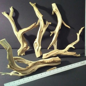 Ghostwood | 4 pc. | 12&quot; long | Assorted Bulk