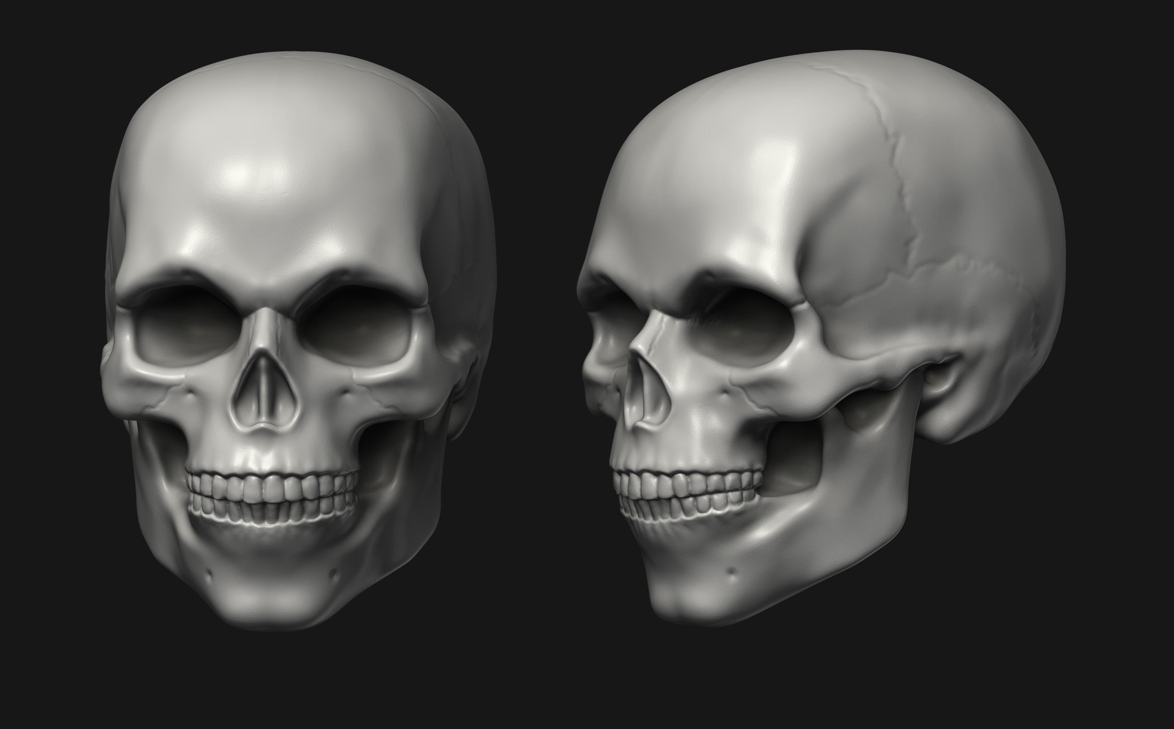 Fichier STL 3D crâne à imprimer. Fichier numérique uniquement. la terreur.  -  France