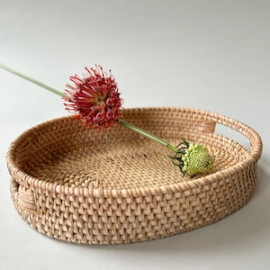 May include: A round, woven rattan tray with a light tan natural finish and two integrated side handles. A single long-stemmed flower with a vibrant red, spiky bloom and a small, textured green bud rests across the center of the tray.