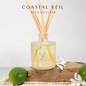 Luxury Reed Diffuser Coastal Scent Beach House Fragrance Gift Relaxation Home Seaside Aroma Sandalwood Bergamot Violet Bedroom Decoration