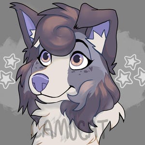 Fursona/OC Custom Digital Art Headshot Icon/Commissioni PFP