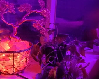 Wire Bonsai Tree Himalayan Salt Lamp