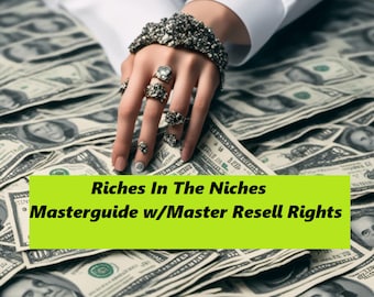DFY Digital Business Riches In The Niches Masterguide w/Master Resell Rights