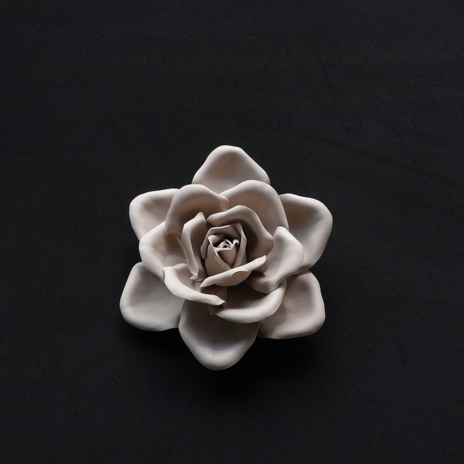 PASTEL BROWN ROSE Wandblume Hintergrund für Kindergarten ...