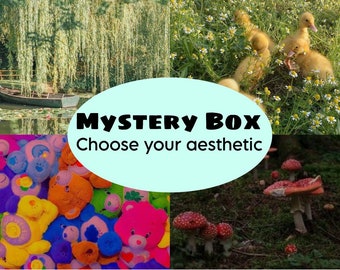 Mystery Box - Fairycore Cottagecore Kidcore Goblincore Space Pride - Sieraden Ketting Ring Armband Pinnen Oorbellen