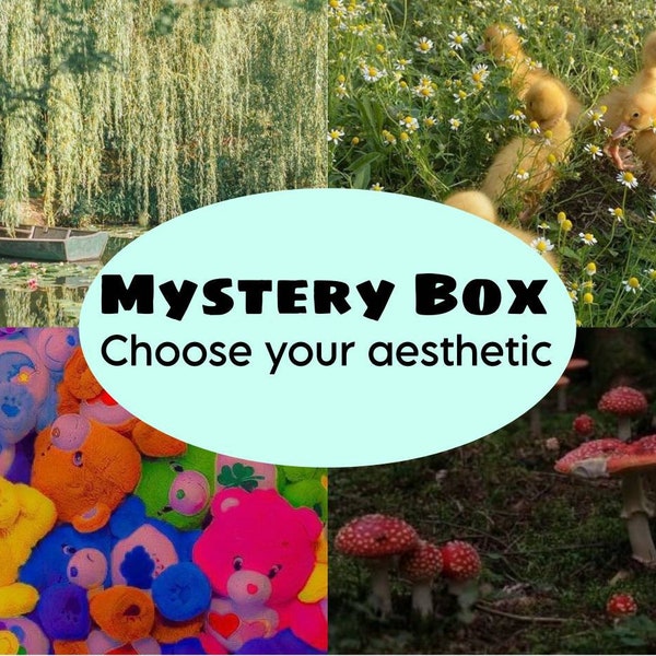 Mystery Box - Fairycore Cottagecore Kidcore Goblincore Space Pride - Jewelry Necklace Ring Bracelet Pins Earrings