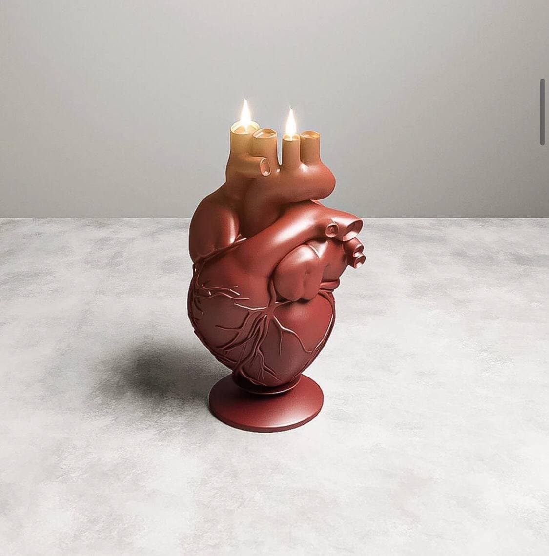 17cm 3D silicone mold XL Heart Candle Mold Anatomical Heart Etsy
