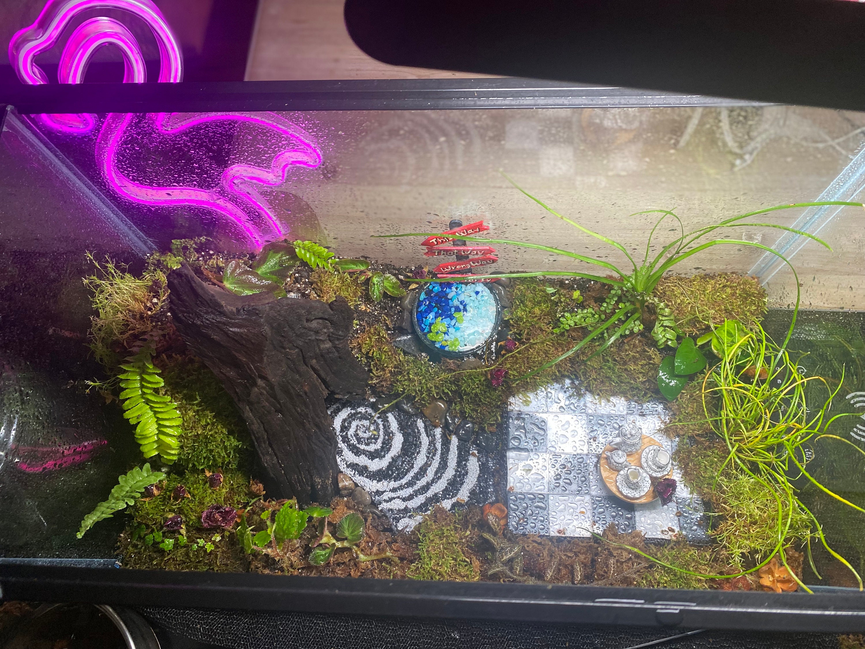 Alice in wonderland fish tank sale decorations