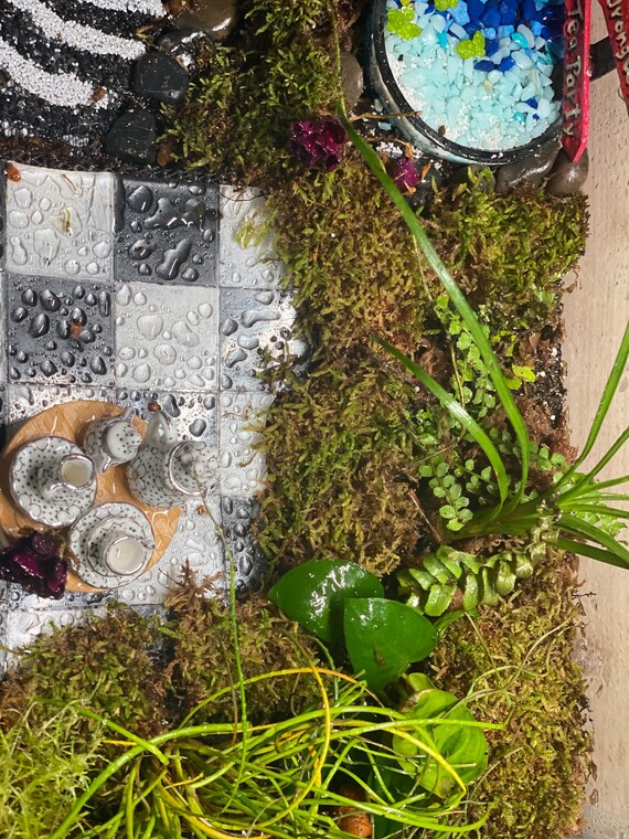 Alice in Wonderland Terrarium With Ladybugs this EXACT Terrarium With All Art Decorations Made by Aline Spellmeier and Rare Plants Etsy