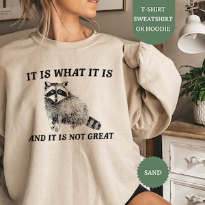 It Is What It Is And It Is Not Great Sweatshirt, Funny Raccoon Shirt, Mental Health Sweater, Unisex Hoodie, Vintage Crewneck, Cartoon Meme
