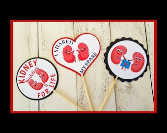 Kidney Cupcake toppers, Organ Donor cupcake topper, Human organ decor, Kidney Party, Doctor party decor, kidney doctor, Doctor, Nephrologist