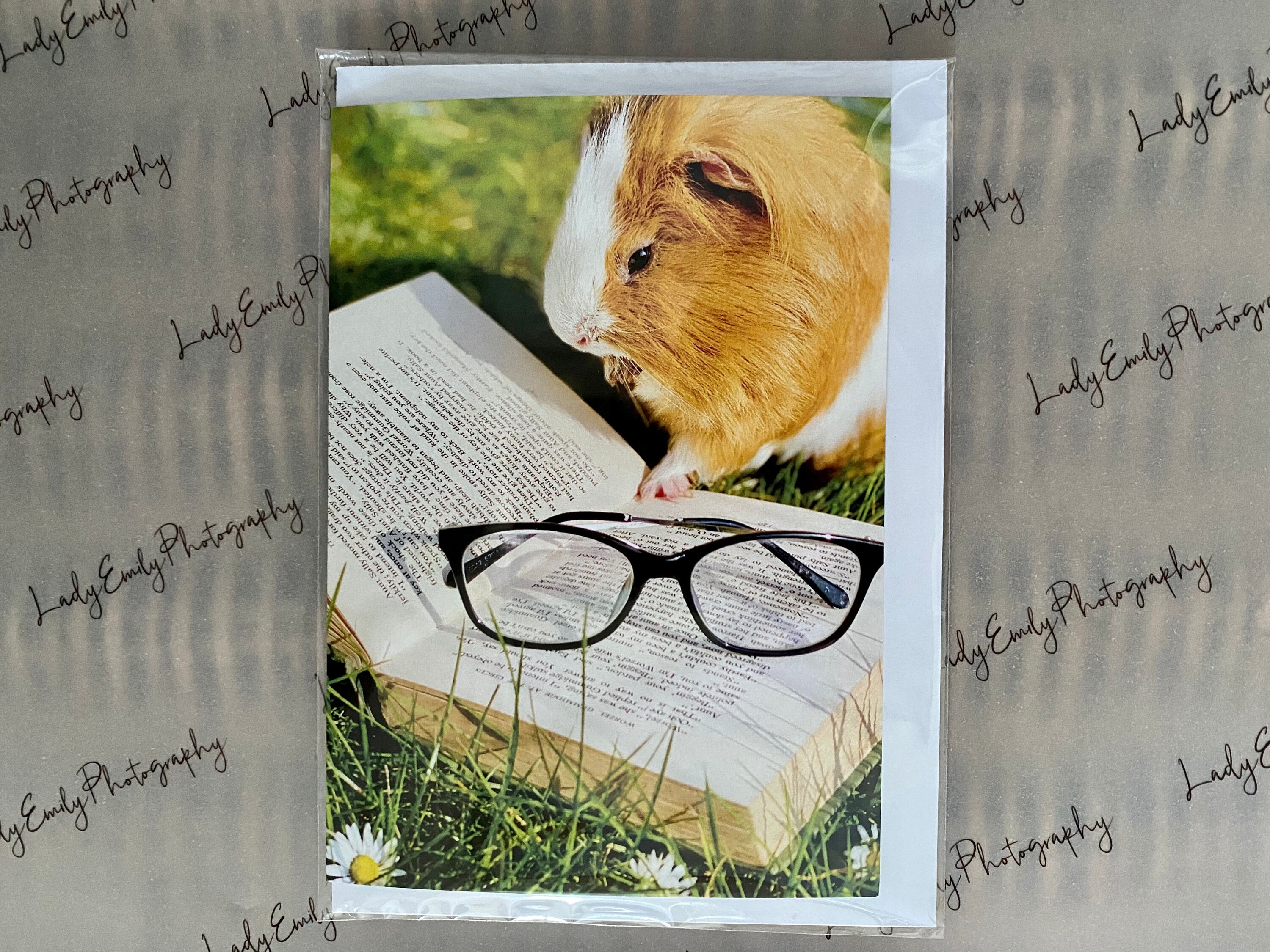 Funny guinea pig reading a book in sun on grass all occasions Etsy