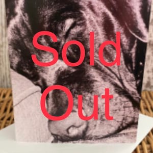 Beautiful sleeping dog photo greeting cards
