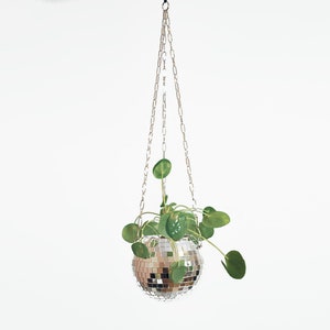 Dado Disco Ball Plant Hanger With Retro Packaging. image 8