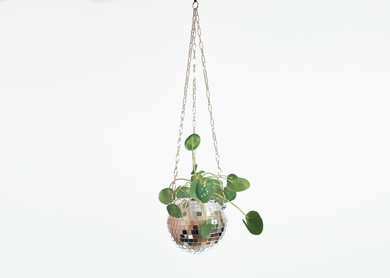 Dado Disco Ball Plant Hanger With Retro Packaging. image 8