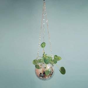 Dado Disco Ball Plant Hanger With Retro Packaging. image 7