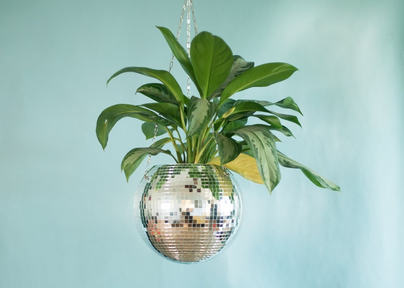 Dado Disco Ball Plant Hanger With Retro Packaging. image 8