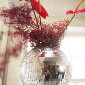 Dado Disco Ball Plant Hanger With Retro Packaging. image 2