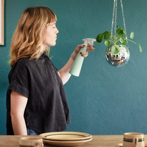 Dado Disco Ball Plant Hanger With Retro Packaging. image 5