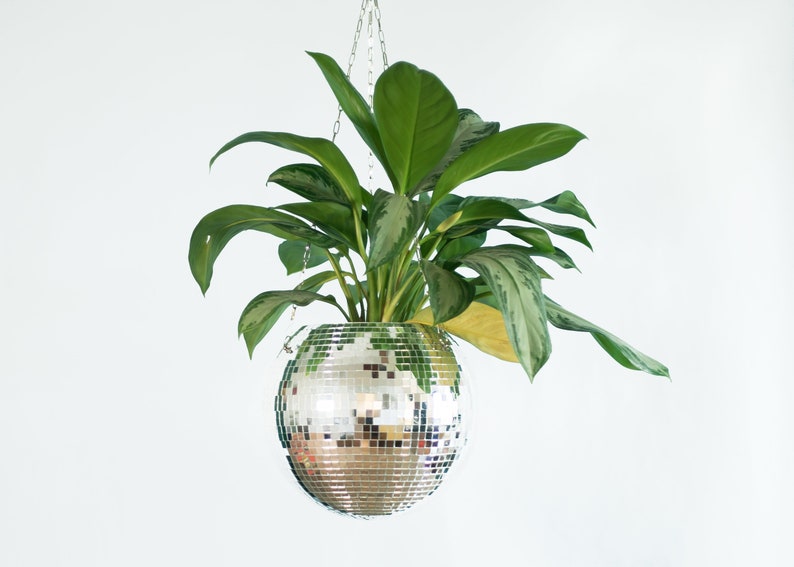 Dado Disco Ball Plant Hanger With Retro Packaging. image 10