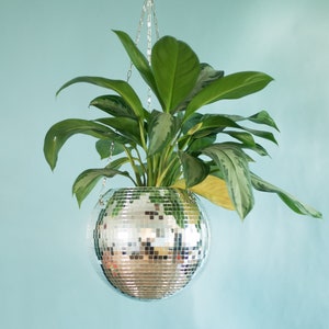 Dado Disco Ball Plant Hanger With Retro Packaging. image 1