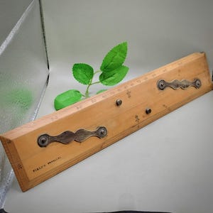 May include: A vintage wooden Field's Parallel ruler with metal hardware. The ruler has etched markings and decorative metal handles. The text "FIELD'S PARALLEL" is visible. The ruler is light brown with a green leaf in the background.