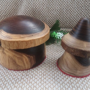 PAIR Wooden Mushrooms, 2 hand turned figurines, nature lover gift, fairy garden