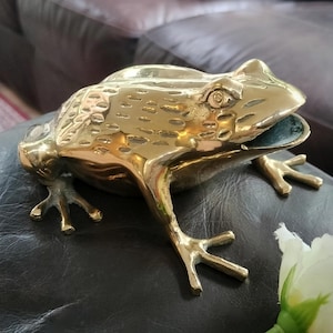 May include: A polished brass frog figurine with a textured back and an open mouth. The metallic surface reflects light, highlighting the detailed contours of the frog's head, eyes, and webbed feet. The sculpture is crafted from a single piece of metal.