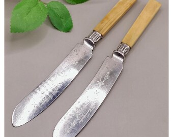 Geätztes Fischbesteck, antikes passendes Paar mit Zelluloidgriffen, England