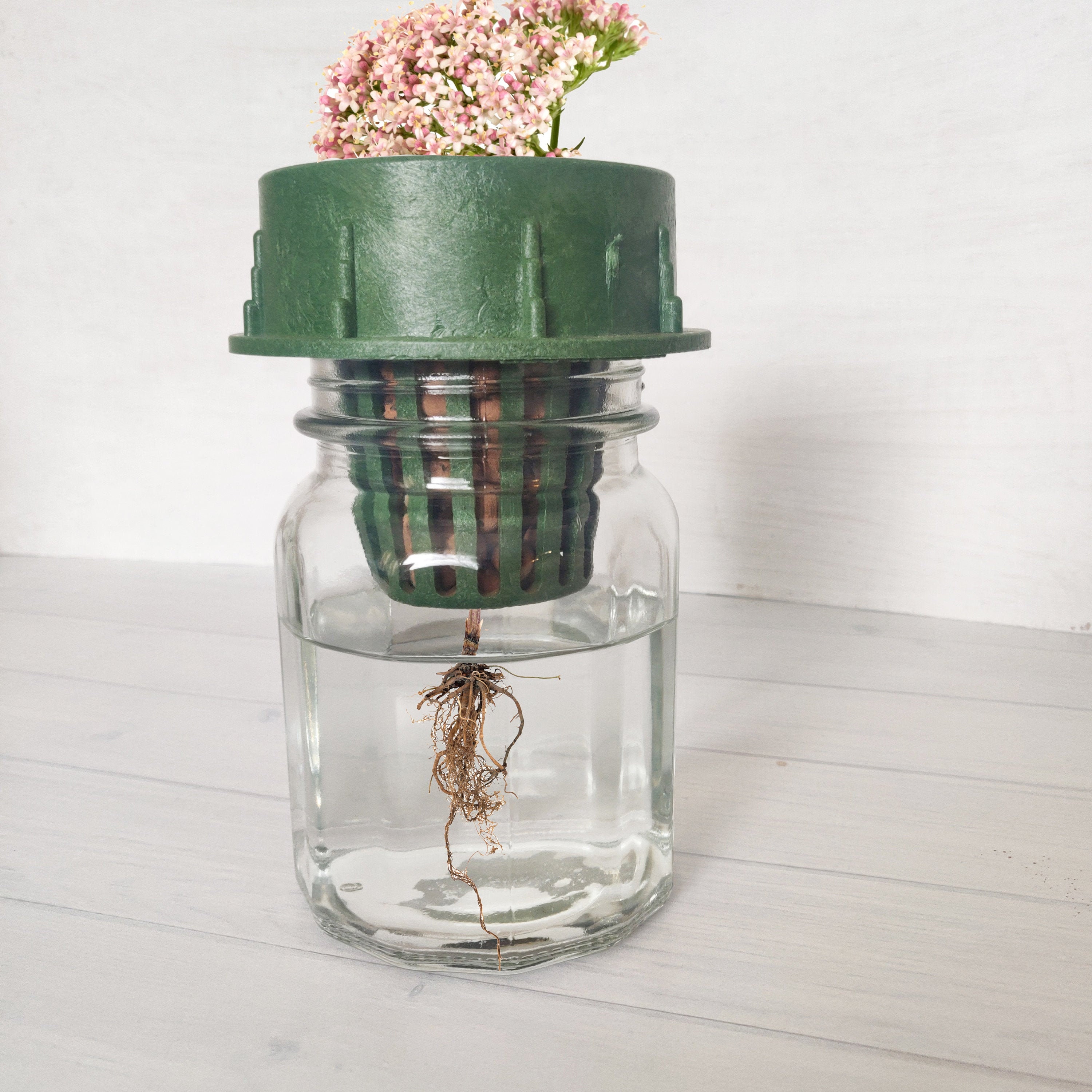 Hydroponic Jar Hydroponic Kit Hydroponic Planter Indoor Etsy UK