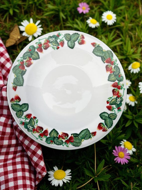 Vintage Tabletops Unlimited Very Strawberry Rimmed Soup Salad Bowls 9" Set of 4