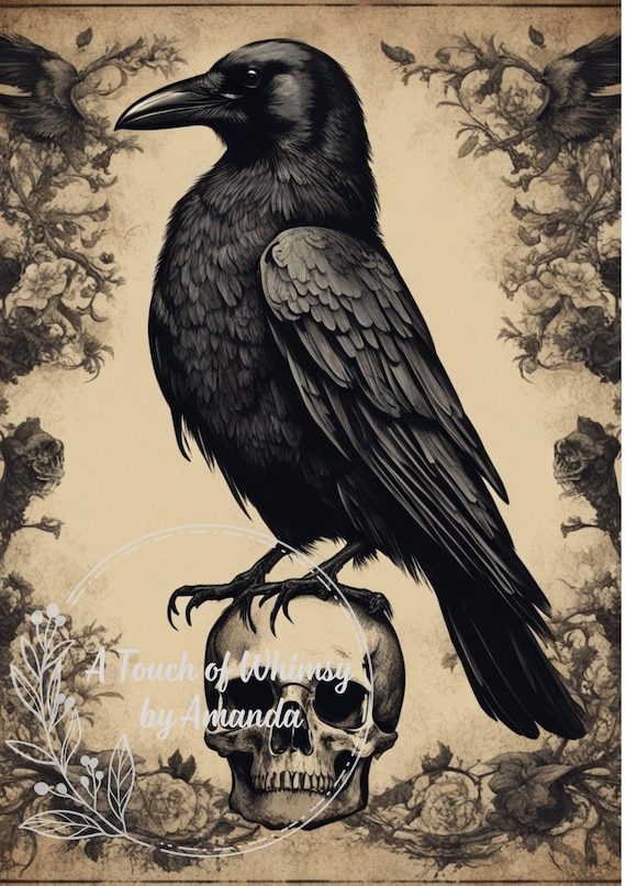 Crow on Skull  Decoupage Rice Paper A4
