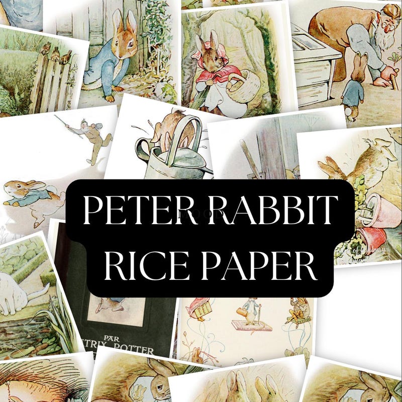 Peter Rabbit Rice Paper - Etsy