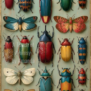 May include: A collection of various insects including beetles, moths, and a bee arranged on a light green background. The image features the text A Touch of Whimsy by Amanda. The insects display diverse colors such as red, blue, green, and yellow.