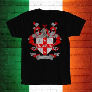 Nolan Family Crest T- Shirt, Nolan Coat of Arms, Nolan Shirt, Nolan Family Name, Irish Surname Gift, Nolan Surname, Irish Gifts