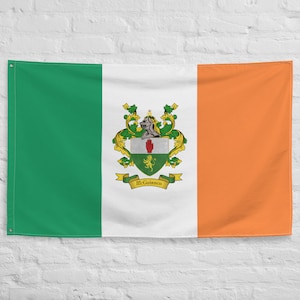 McGuinness Irish Coat of Arms Family Crest Ireland Flag | Irish gifts for the home